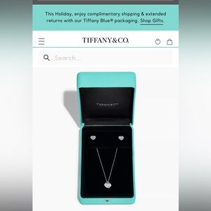Tiffany co necklace and earrings